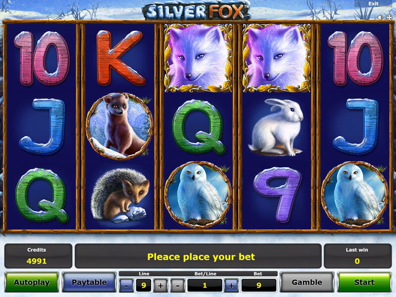 Silver Fox kostenlos online spielen